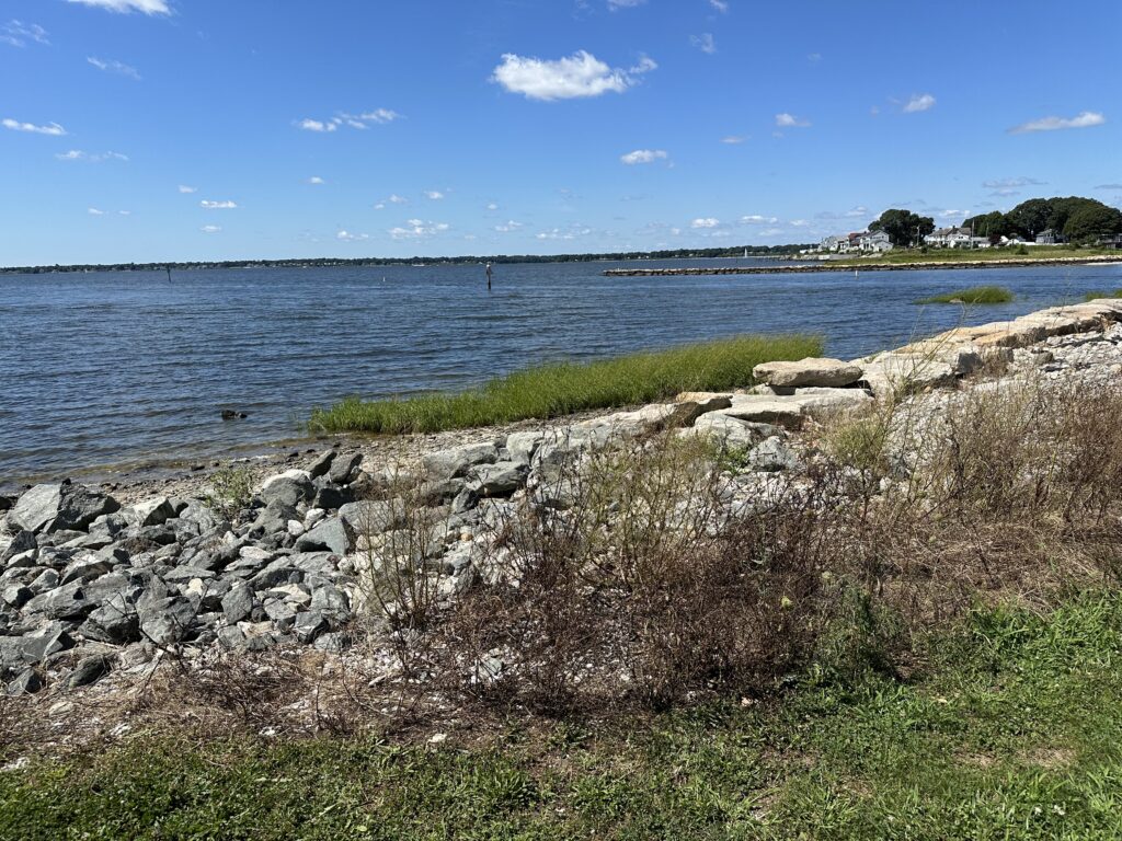 a rocky shore with a body of water in the background (MyCoast AI)