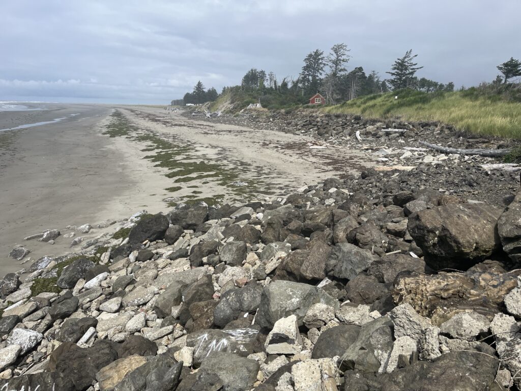a rocky beach with a body of water and trees in the background (MyCoast AI)