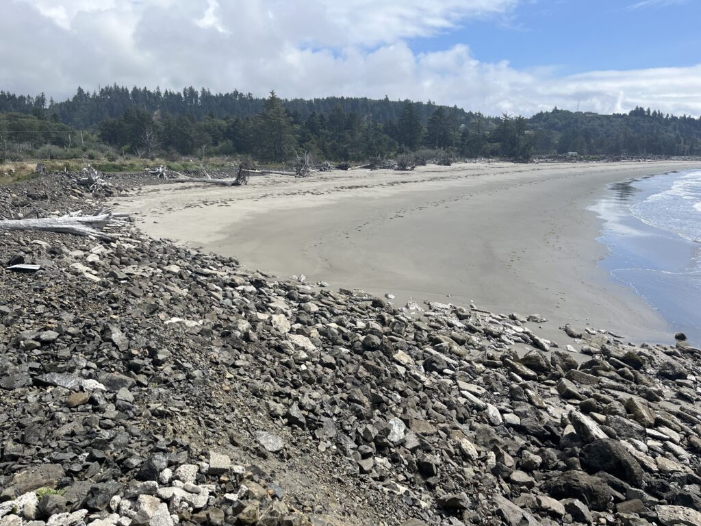 a rocky beach with trees in the background (MyCoast AI)