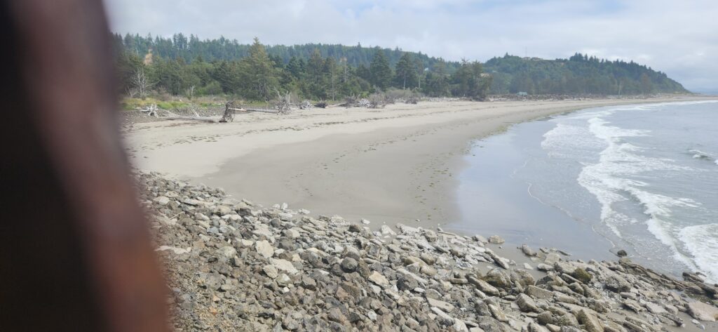 a person looking at a beach (MyCoast AI)