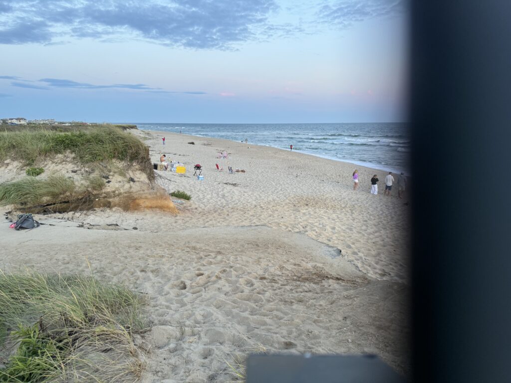 a group of people on a beach (MyCoast AI)