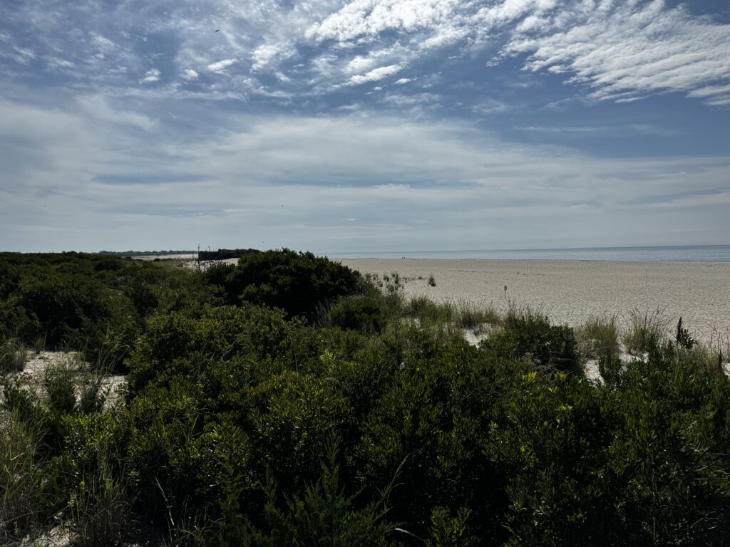 a beach with trees and bushes (MyCoast AI)