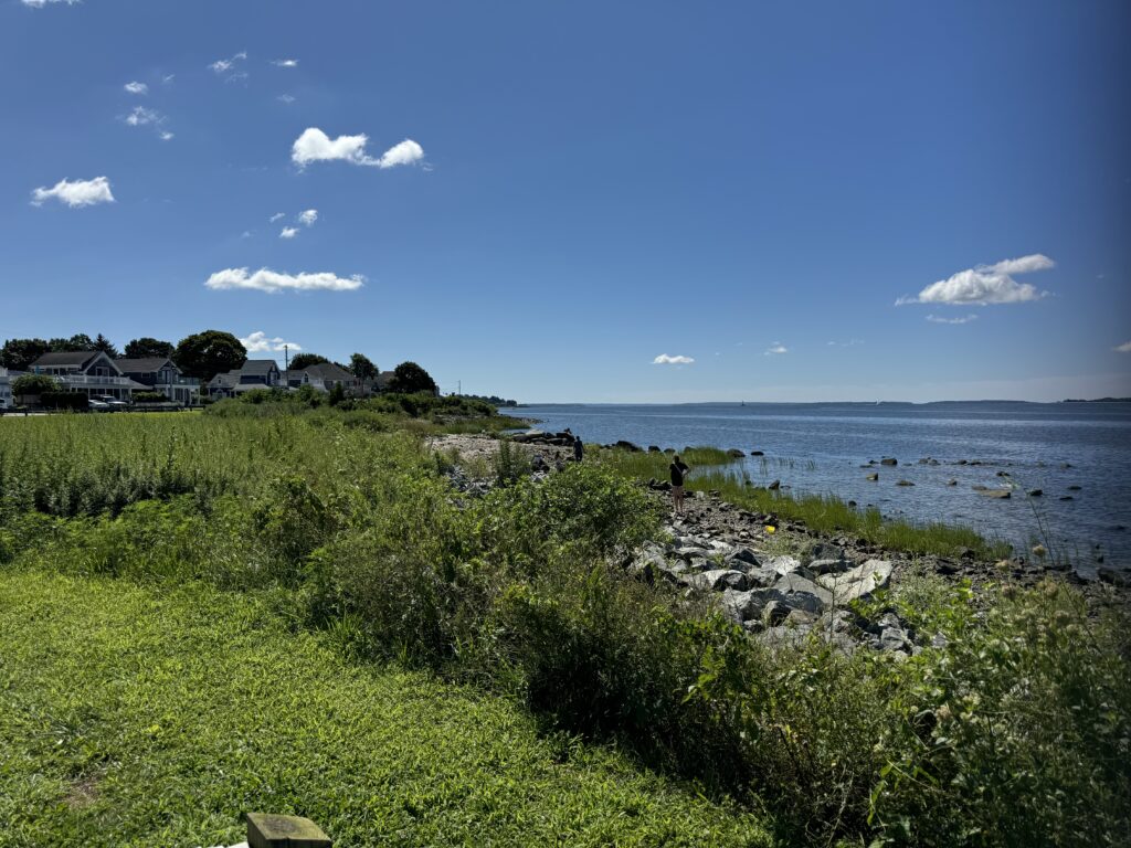 a grassy area next to a body of water (MyCoast AI)