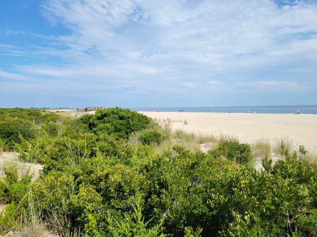 a sandy beach with bushes and trees (MyCoast AI)