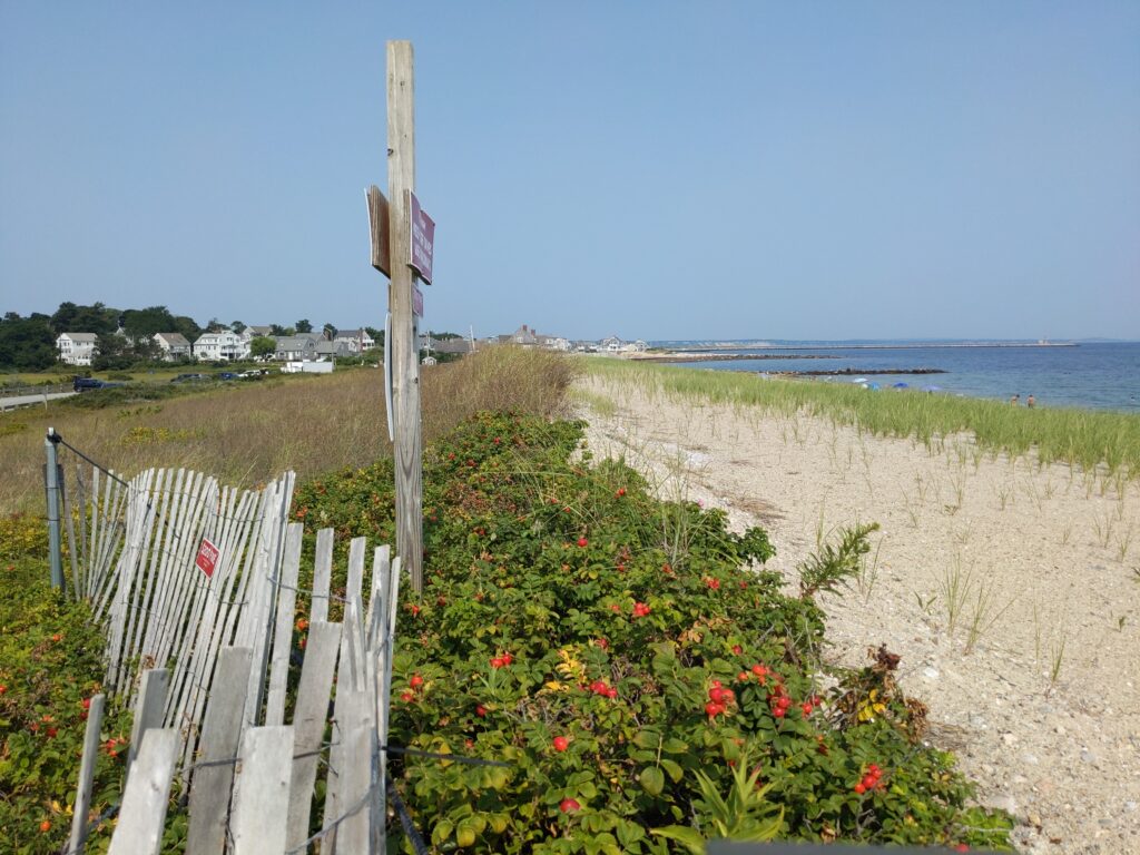 a fence in a field (MyCoast AI)