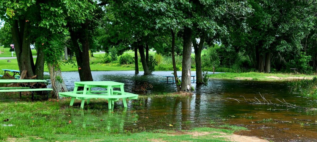 a picnic table in a park (MyCoast AI)