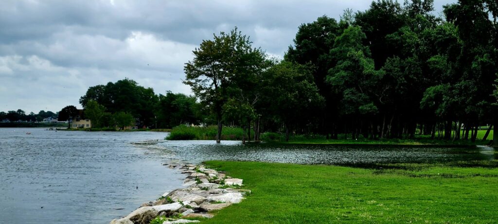 a body of water with trees around it (MyCoast AI)