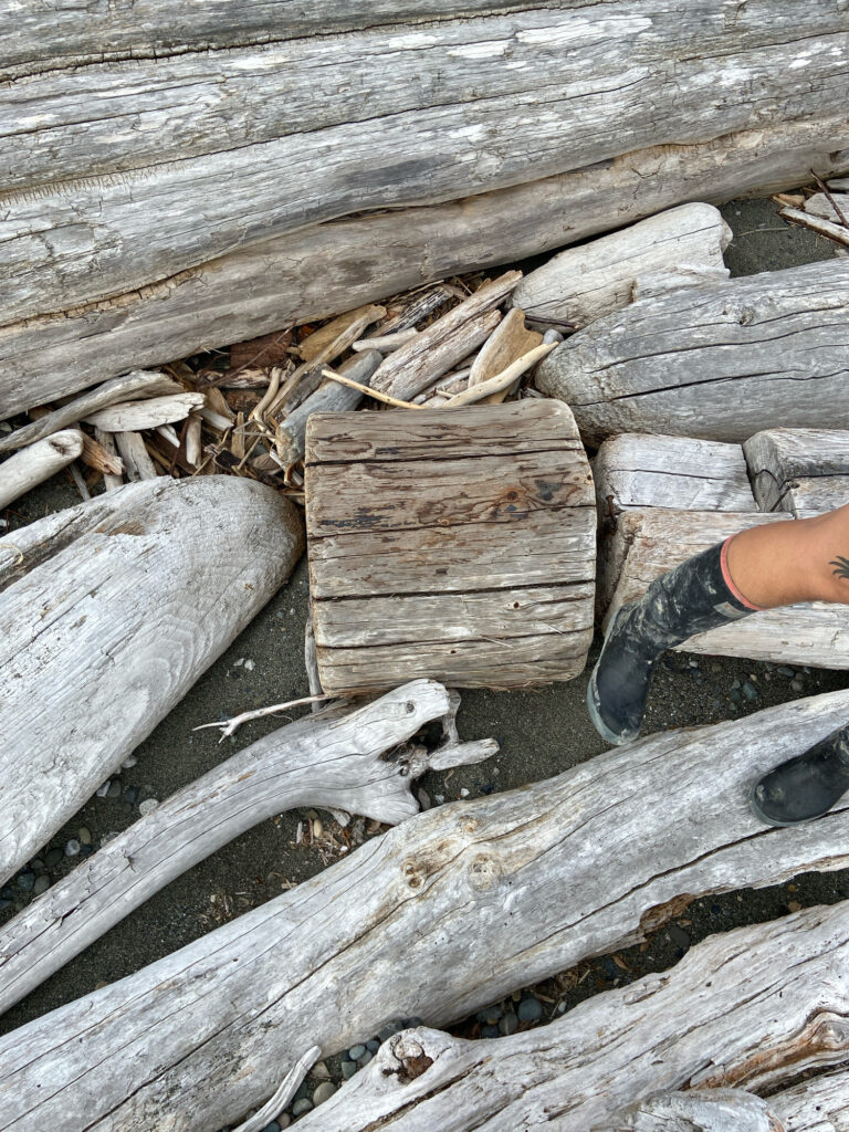 a person's feet on a log (MyCoast AI)