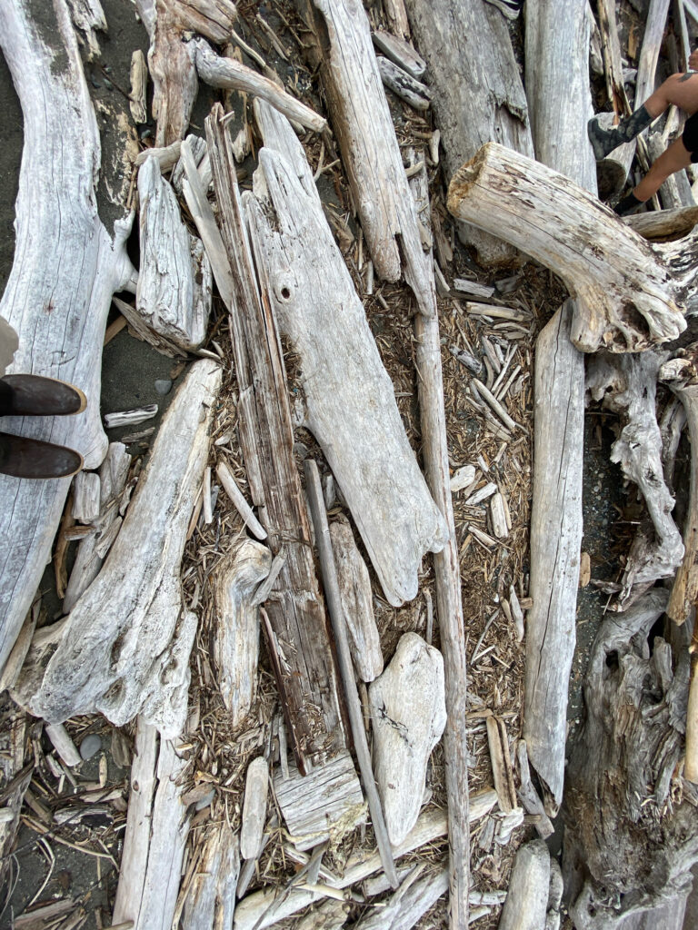 a pile of tree roots (MyCoast AI)