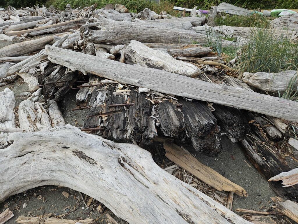 a pile of cut wood (MyCoast AI)