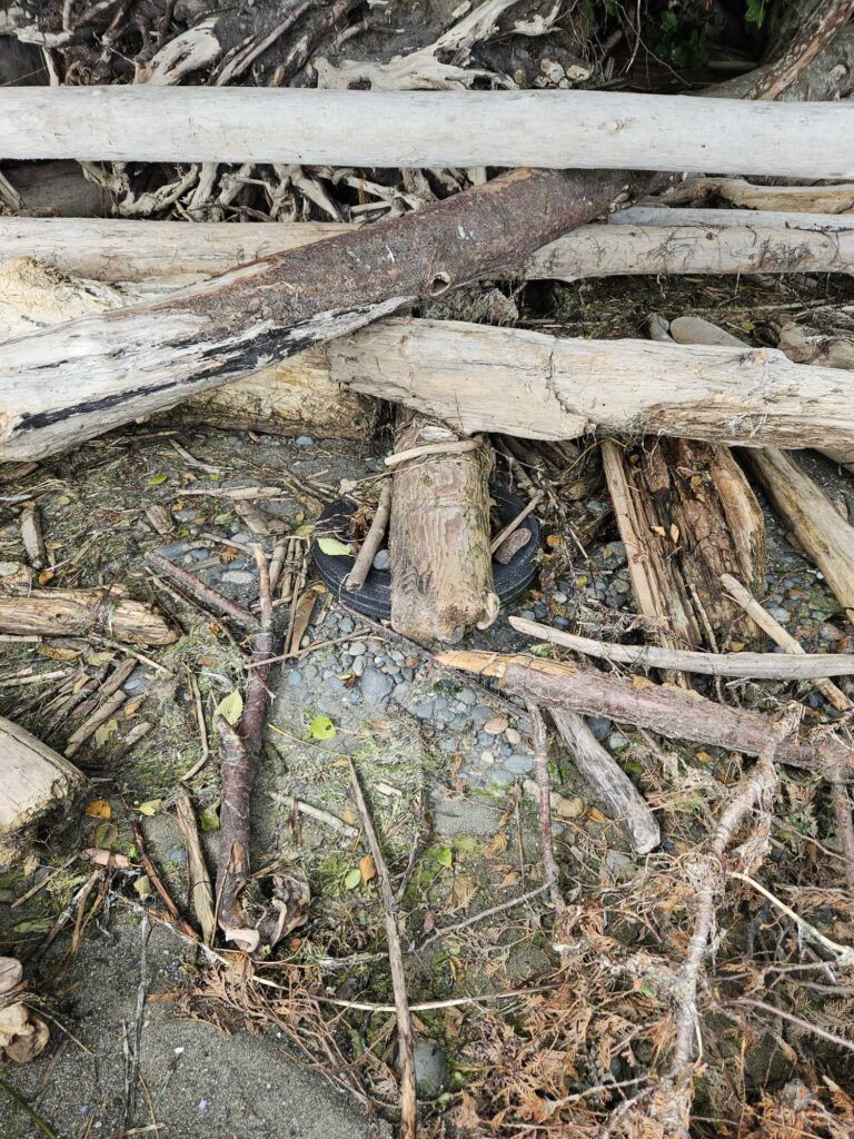 a pile of wood (MyCoast AI)