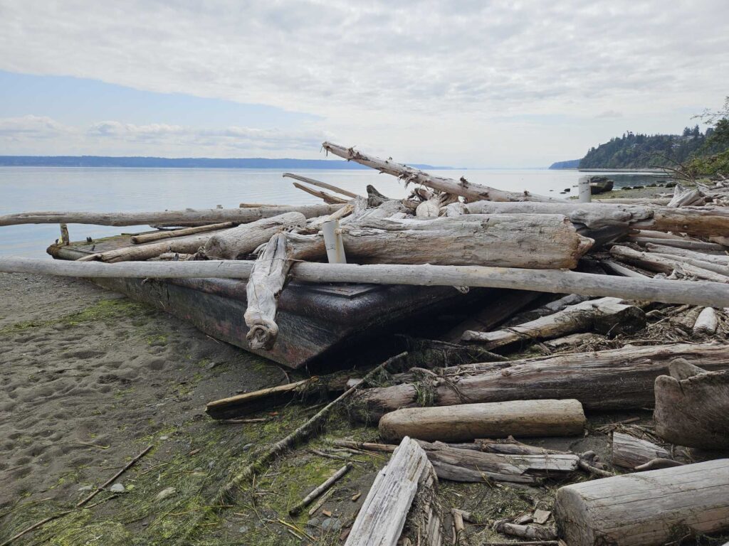 a pile of logs on a beach (MyCoast AI)