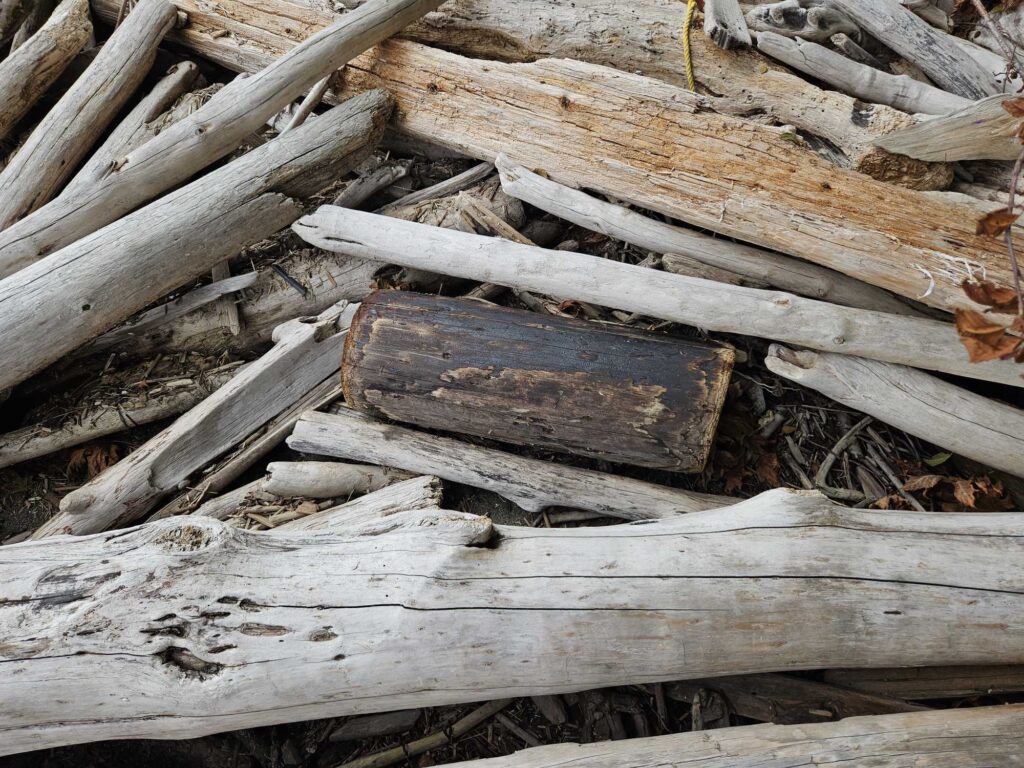 a pile of wood (MyCoast AI)