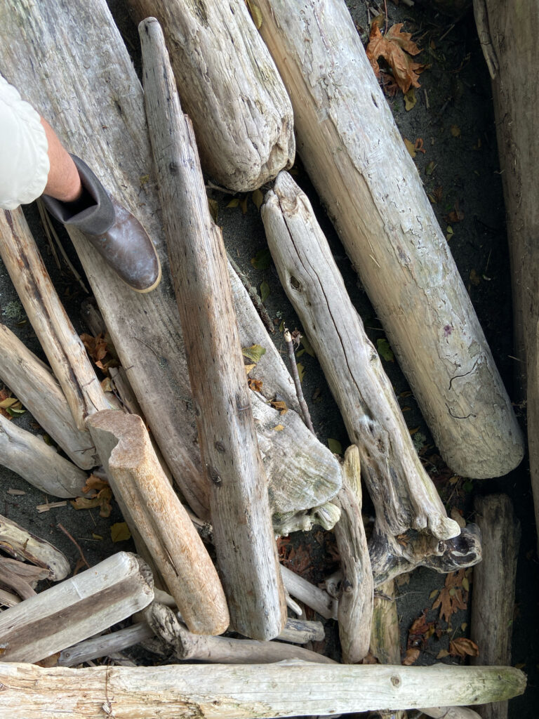 a person's feet on a wooden plank (MyCoast AI)