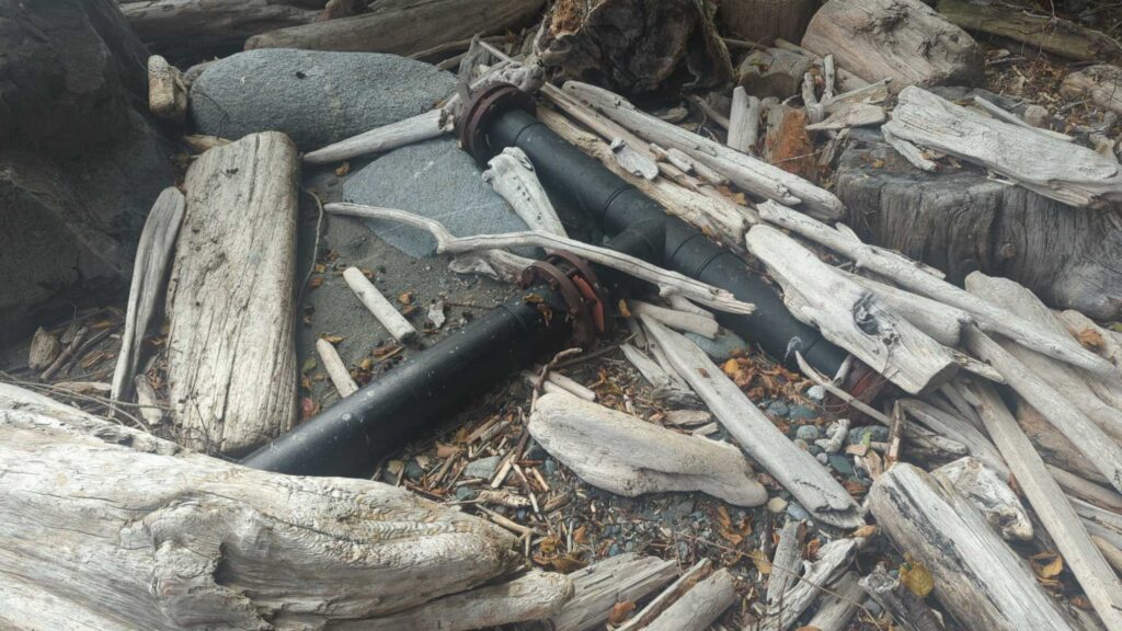 a pile of wood (MyCoast AI)