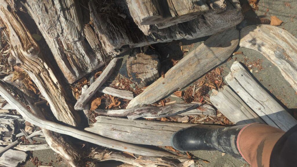 a person's feet on a log (MyCoast AI)