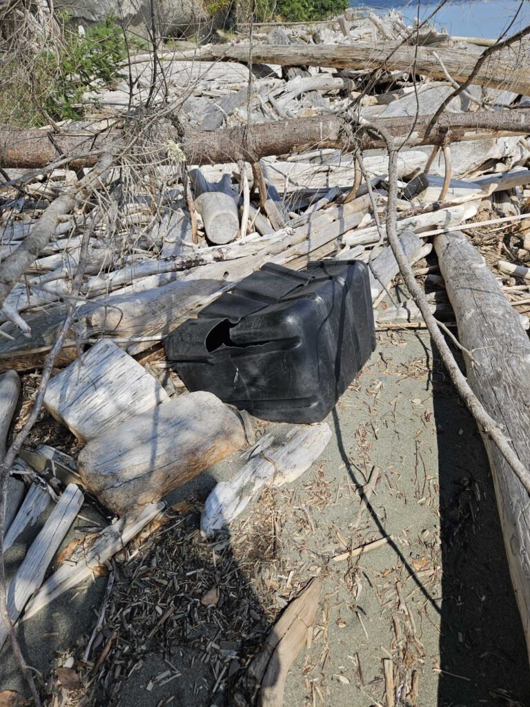 a trash can in a pile of wood (MyCoast AI)