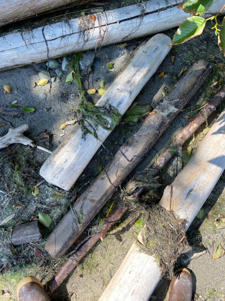 a pile of wood (MyCoast AI)