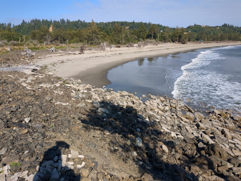 a rocky beach with a body of water and trees in the background (MyCoast AI)