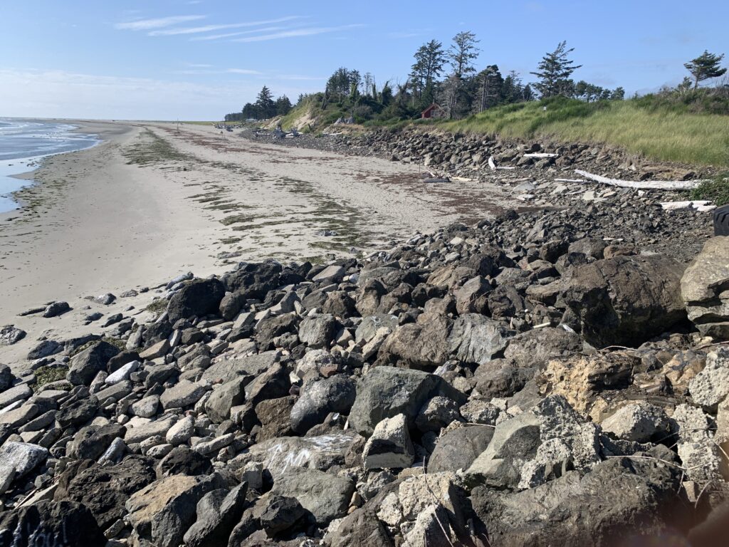 a rocky beach with trees and grass (MyCoast AI)