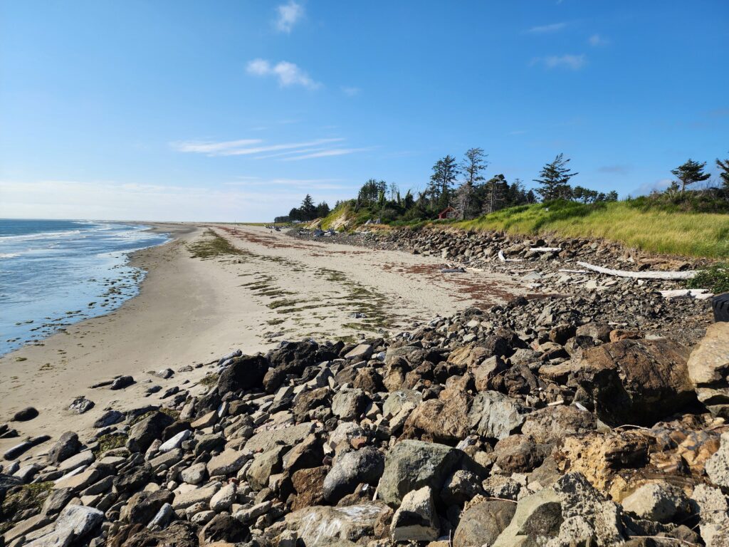 a rocky beach with trees and water (MyCoast AI)