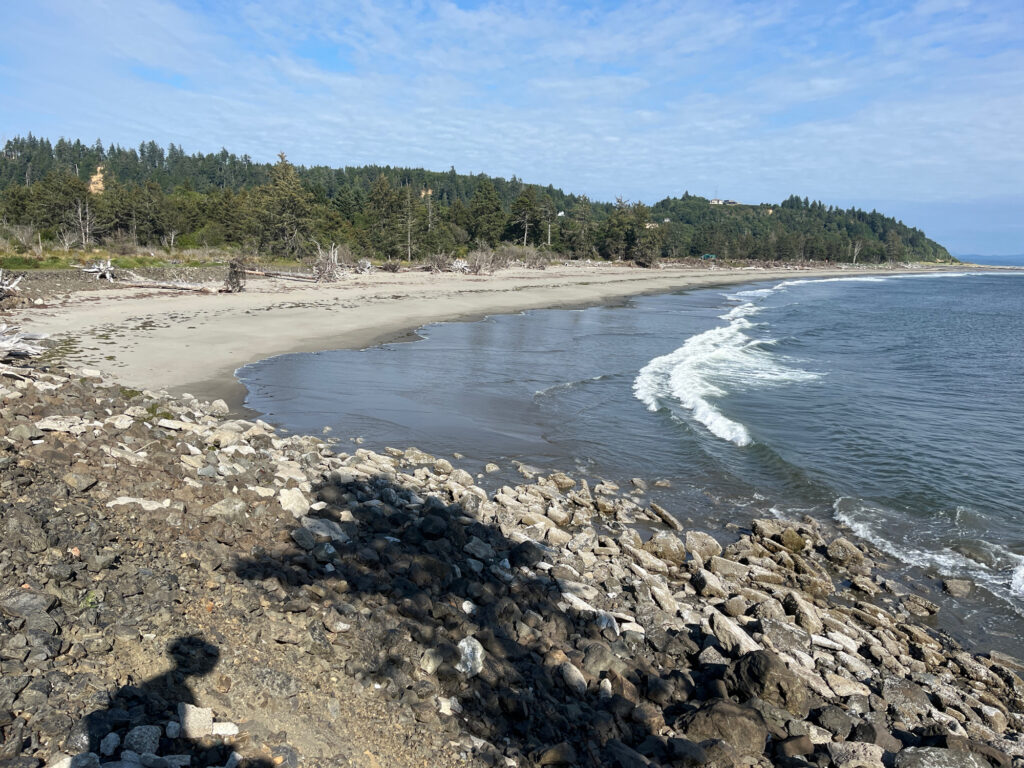 a rocky beach with trees in the background (MyCoast AI)