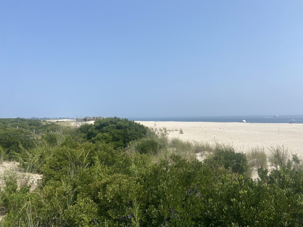 a beach with bushes and trees (MyCoast AI)