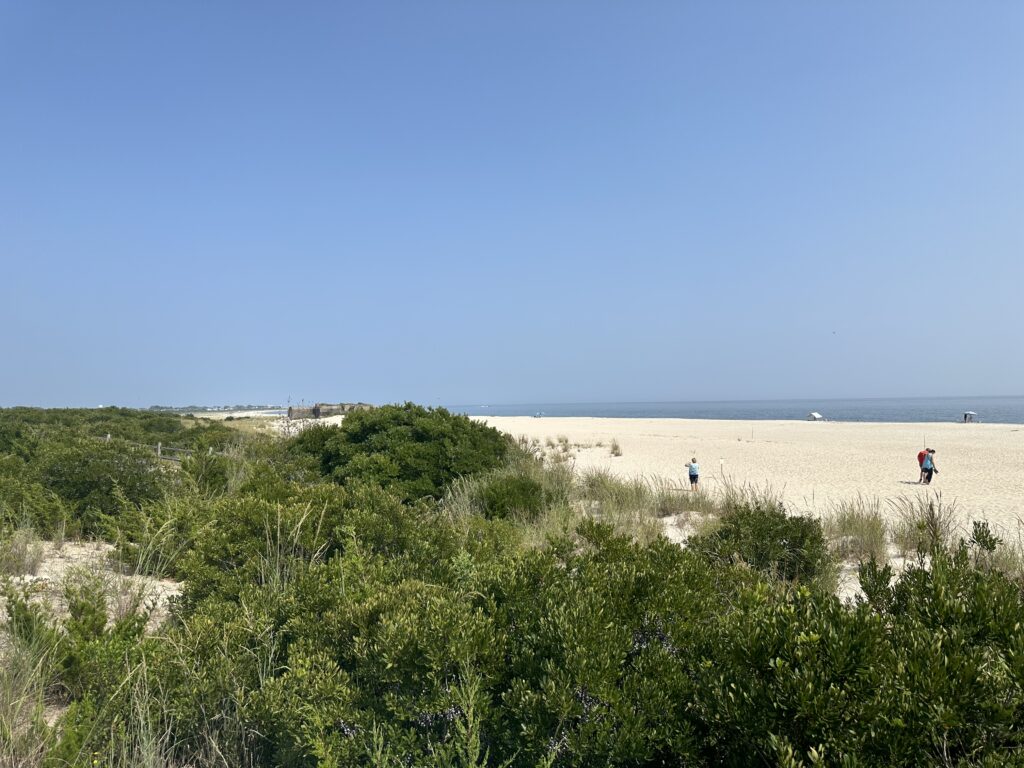 people walking on a beach (MyCoast AI)