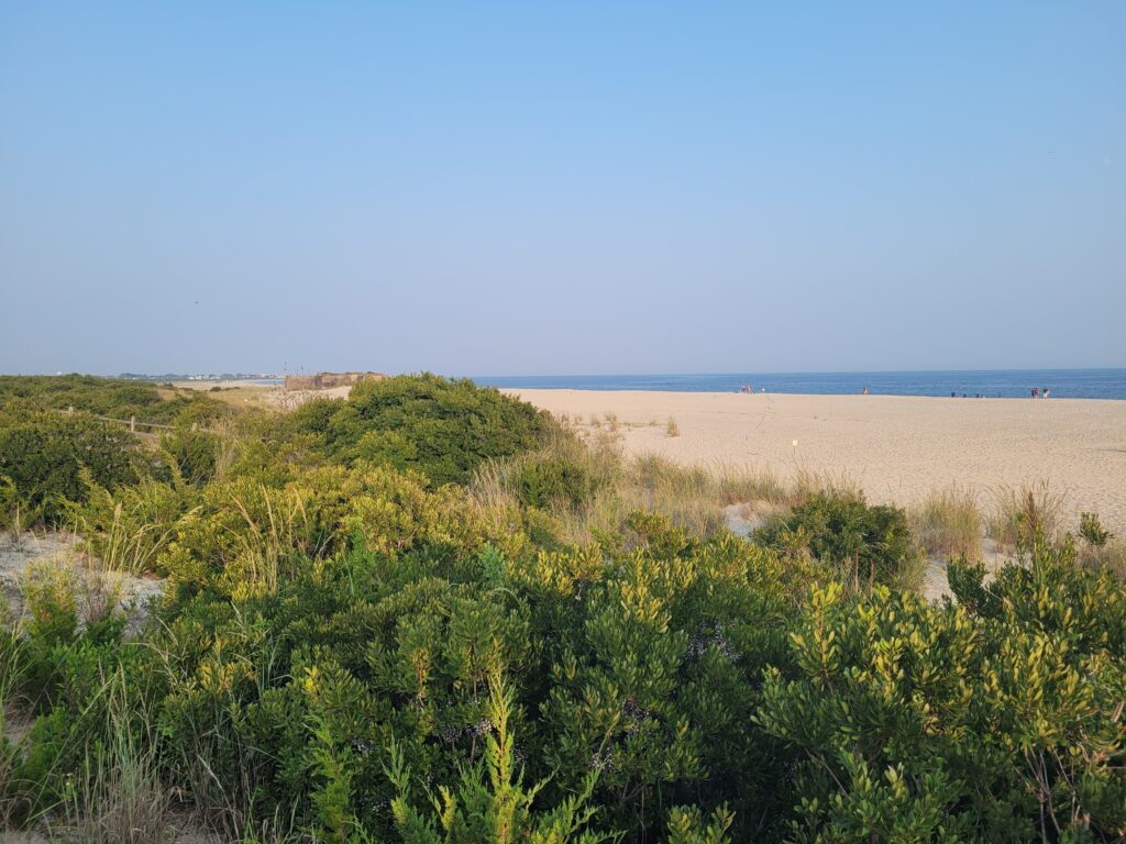 a field of plants (MyCoast AI)