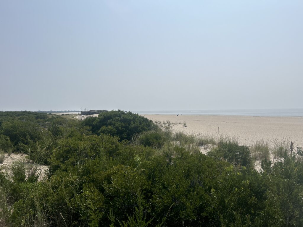 a landscape with trees and a body of water in the background (MyCoast AI)