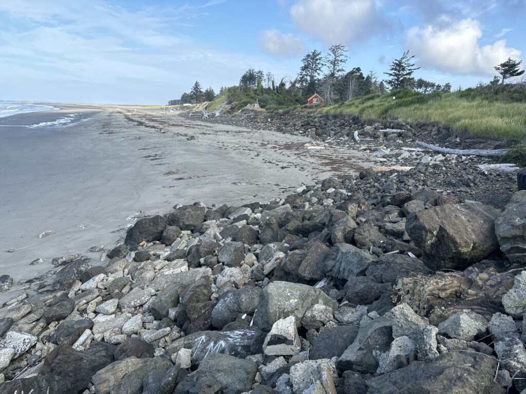 a rocky beach with trees and grass (MyCoast AI)