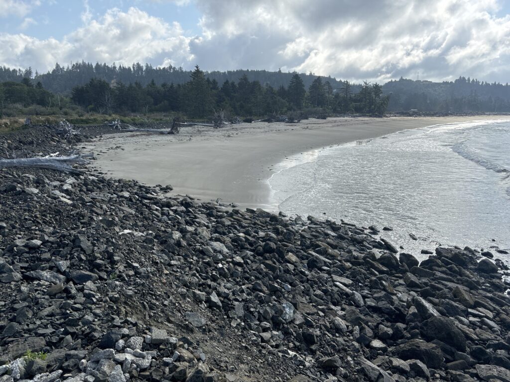 a rocky beach with trees in the background (MyCoast AI)