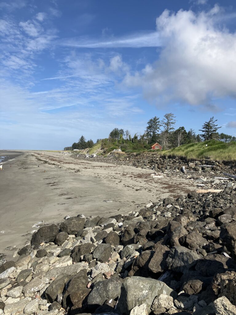a rocky beach with trees and a hill in the background (MyCoast AI)