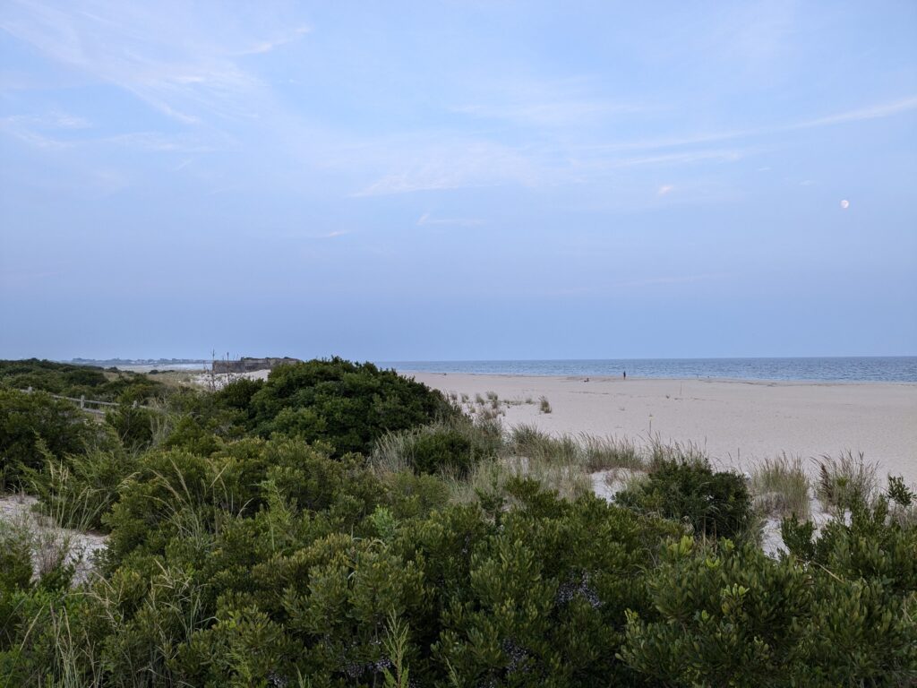 a sandy beach with bushes and trees (MyCoast AI)