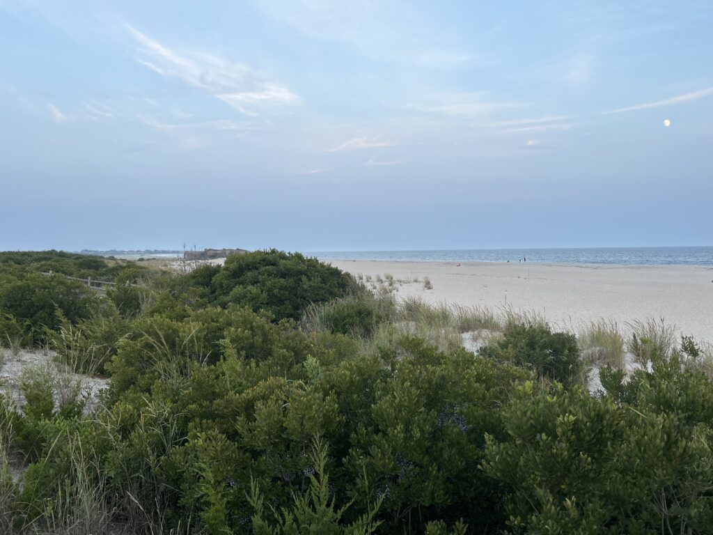 a beach with bushes and trees (MyCoast AI)