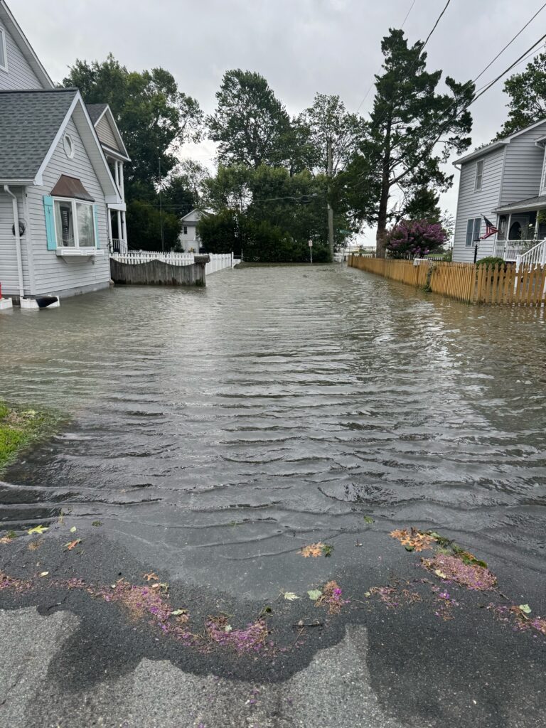 a flooded street with houses and trees (MyCoast AI)