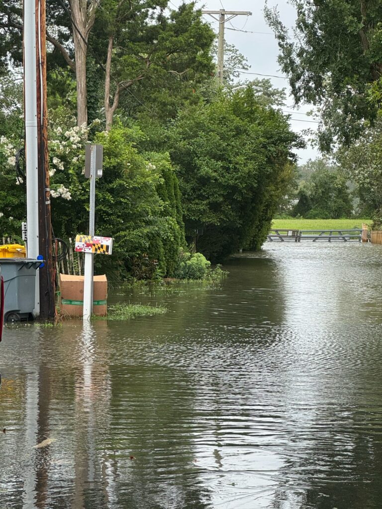a flooded street with trees (MyCoast AI)