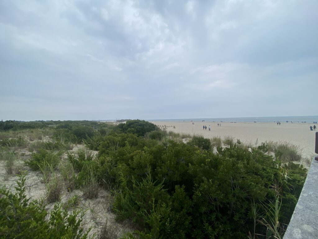 a sandy beach with bushes and trees (MyCoast AI)