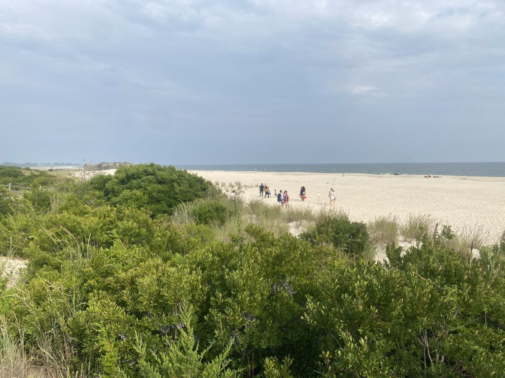 a group of people walking on a beach (MyCoast AI)
