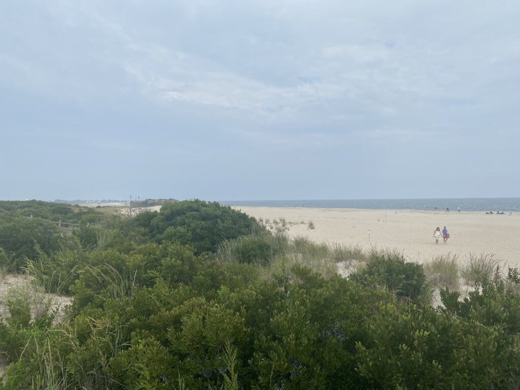 a person walking on a beach (MyCoast AI)