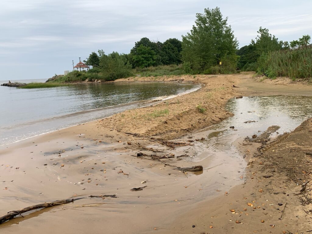 a beach with sand and trees (MyCoast AI)
