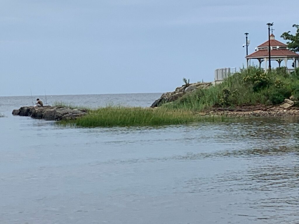 a body of water with a rock and a building on the shore (MyCoast AI)