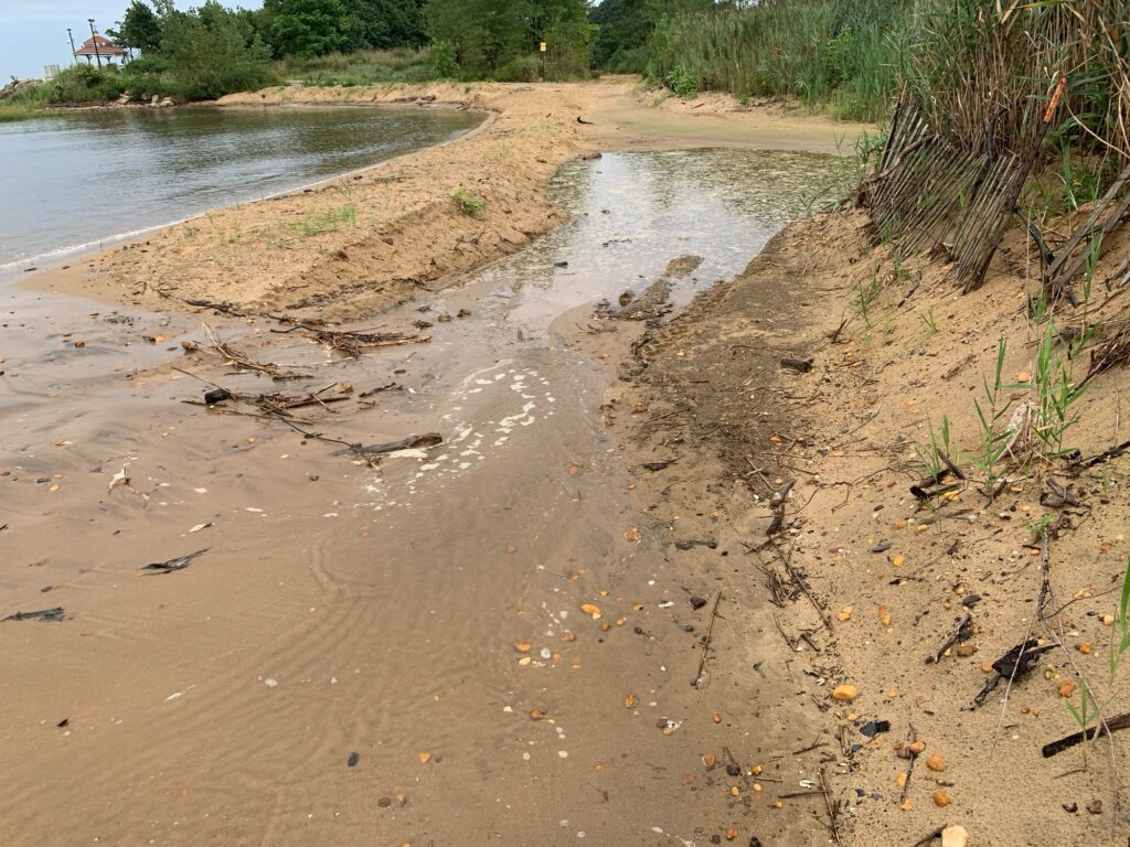 a muddy river with plants and trees (MyCoast AI)