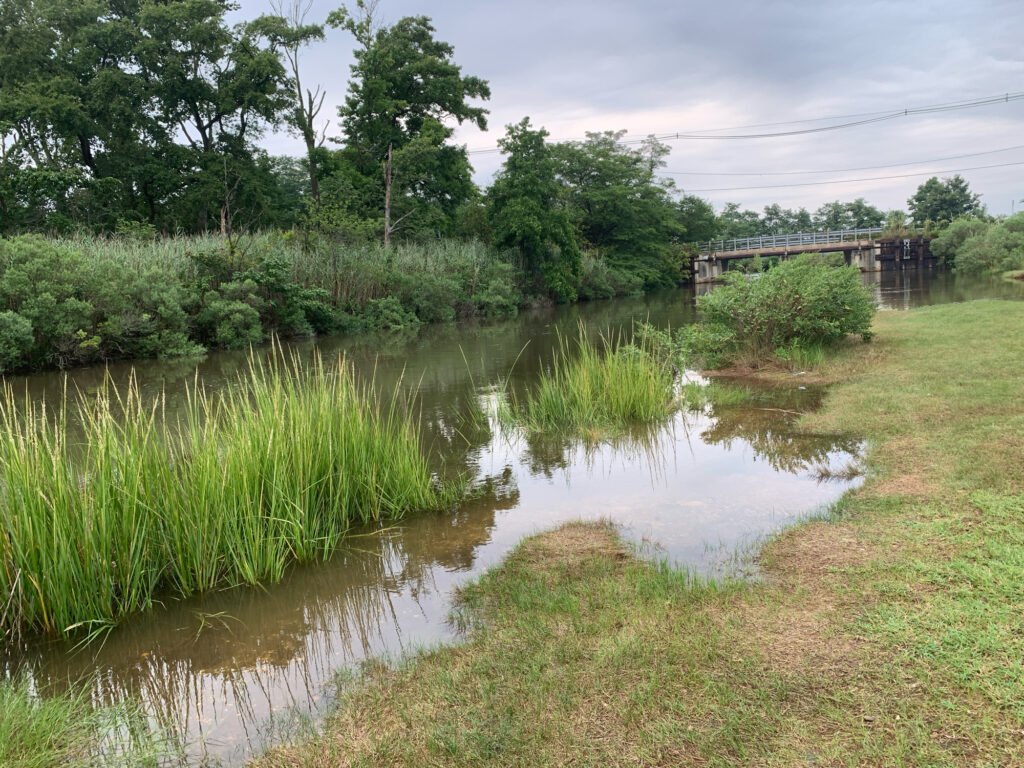 a small river with a bridge (MyCoast AI)
