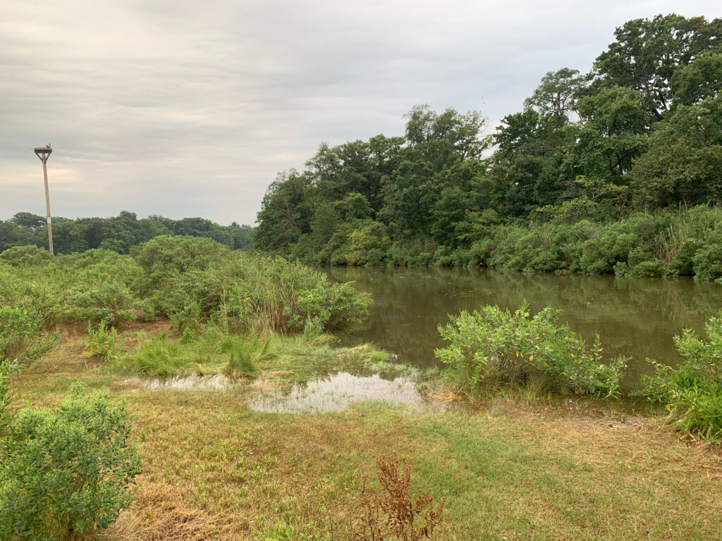 a small pond surrounded by trees (MyCoast AI)