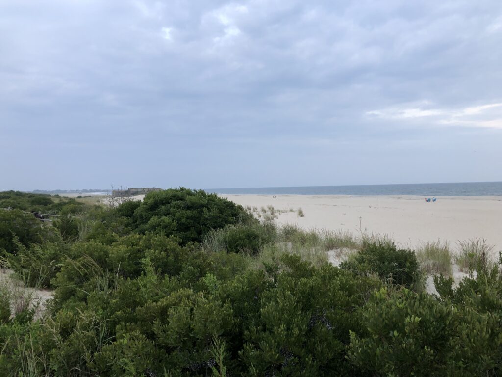 a beach with bushes and trees (MyCoast AI)