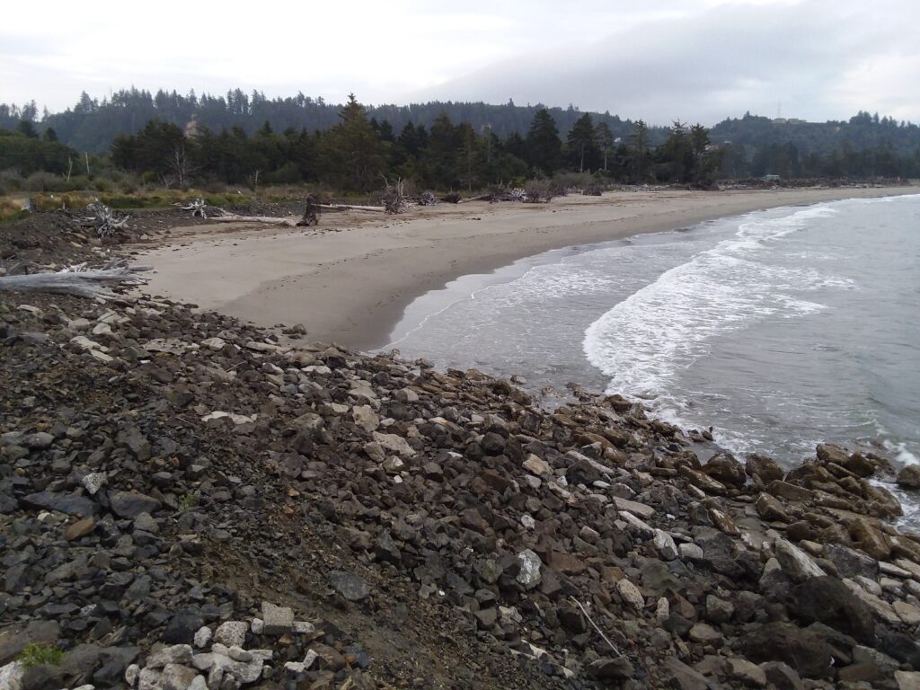 a rocky beach with trees in the background (MyCoast AI)