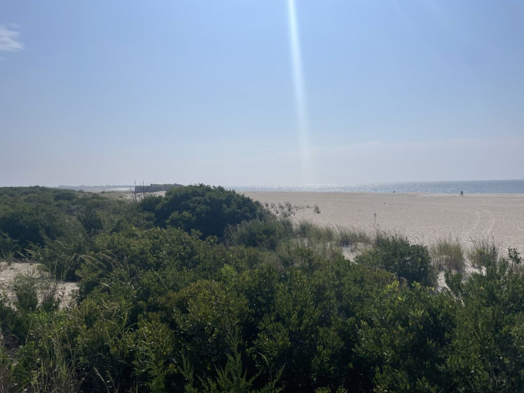 a landscape with trees and a body of water in the distance (MyCoast AI)