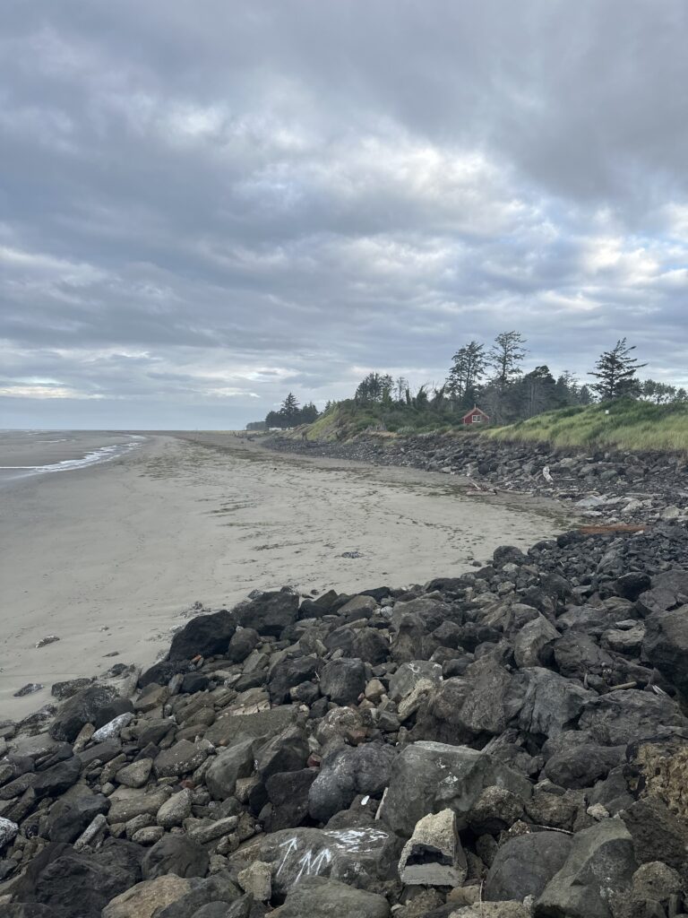 a rocky beach with trees and a hill in the background (MyCoast AI)