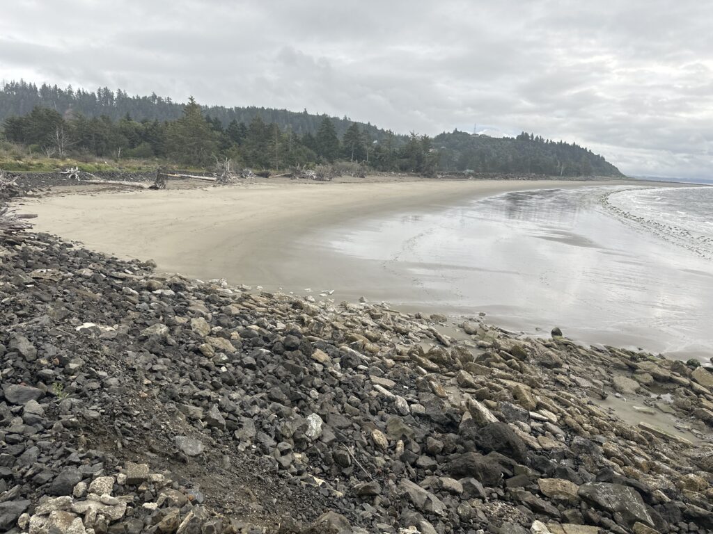 a rocky beach with trees in the background (MyCoast AI)